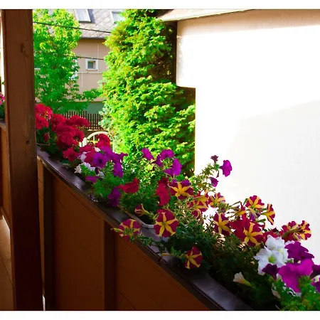 Csokolade Guest house *