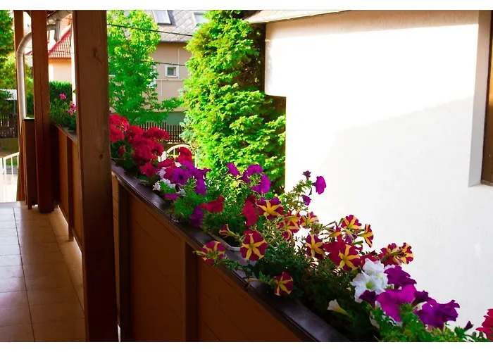 Csokolade ゲストハウス 3*